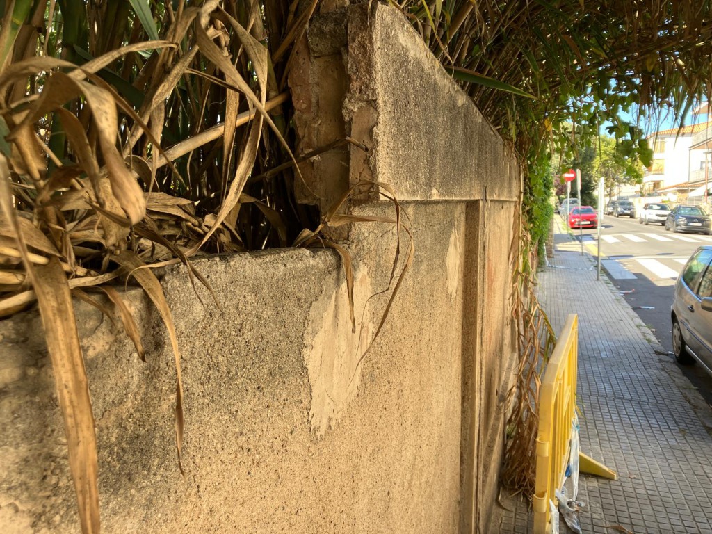 Vegetació a la part superior